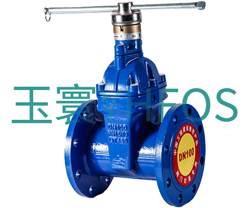 帶鎖彈性密封閘閥（鎖閉閘閥）--帶鎖Z45X